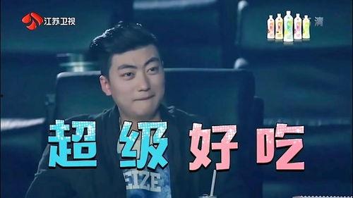 李玉峰反串歌手爆料视频,幕后故事与音乐魅力  第1张